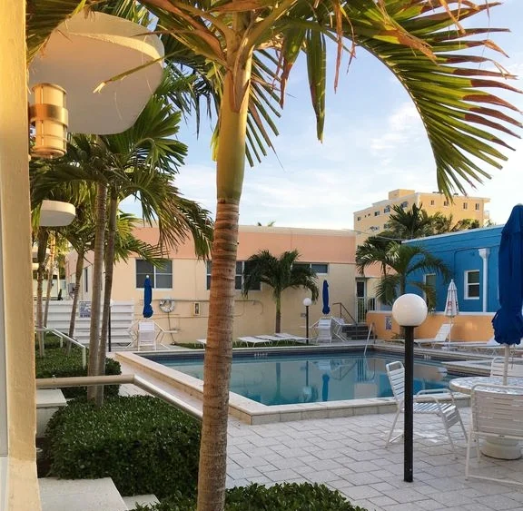 palm tree in front of pool
